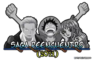 One Piece - Saga Reencuentro