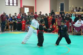 Peraturan Pertandingan Pencak Silat - SABILISLOW