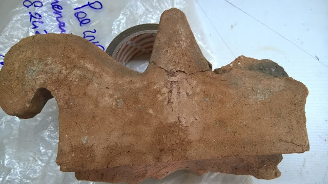 New finds at ancient city of Paestum in southern Italy New finds at ancient city of Paestum in southern Italy