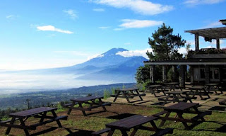 Pondok kopi umbul sidomukti