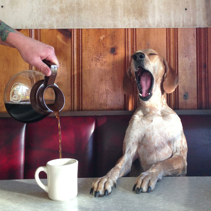 Coffeefanatic Is coffee our friend or the enemy of fatigue?