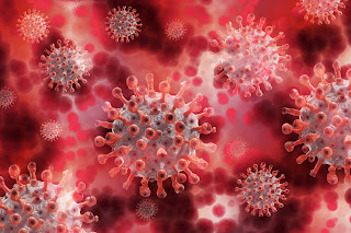 Everything you need to know about Coronavirus pandemic.