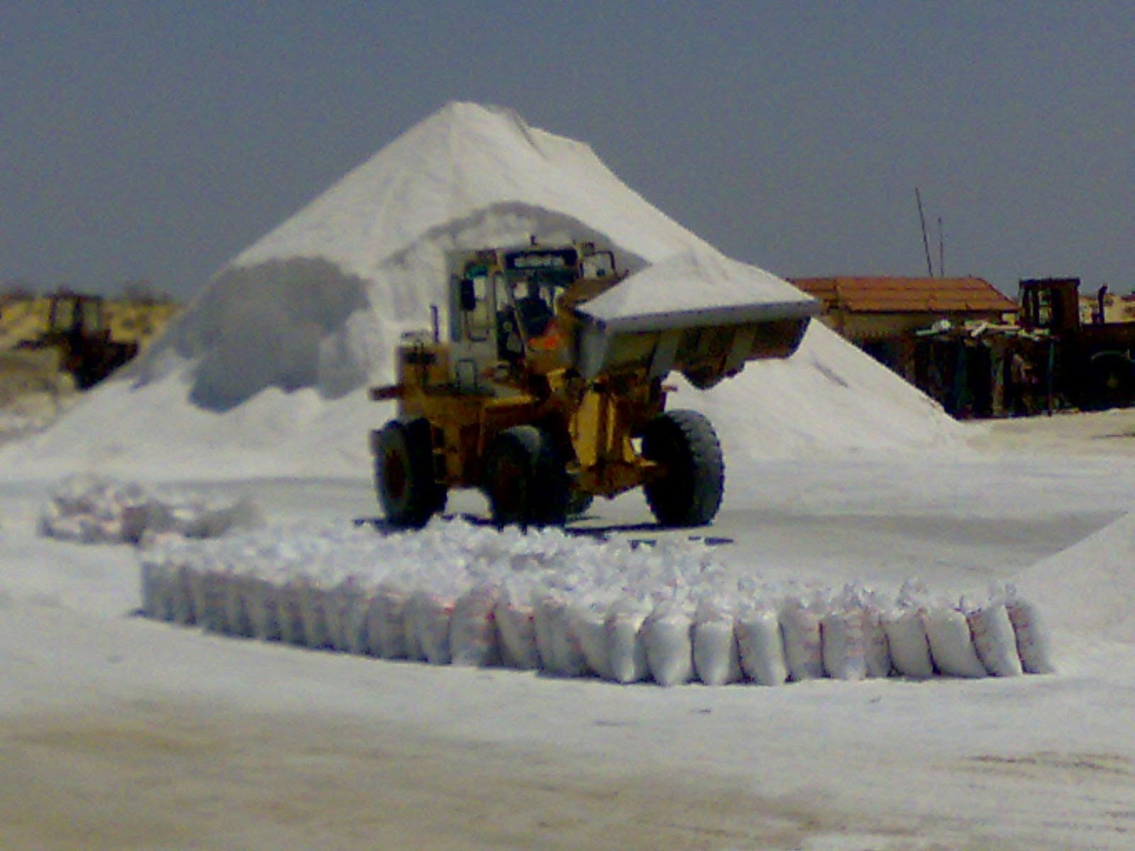 Mudga Agriculture & Food Products suppliers Road salt suppliers egypt