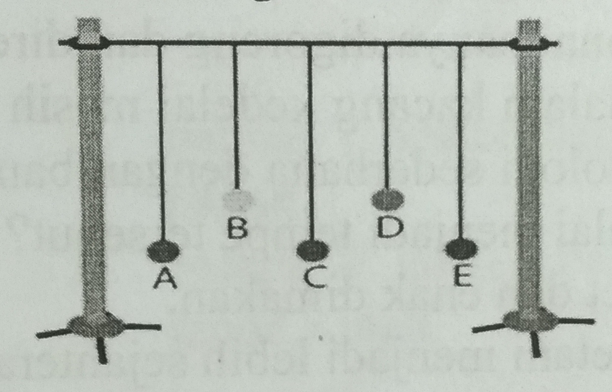 Soal Dan Kunci Jawaban USBN IPA SMP Kurikulum 2013 Tahun