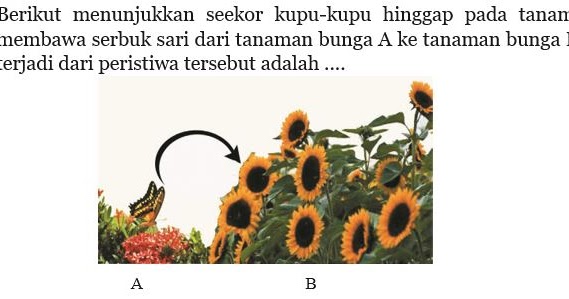 beranda belajar Latihan soal perkembangbiakan pada hewan