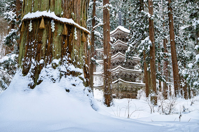 #photo #landscape #sigma #foveon #sdquattroh #japan #yamagata #tsuruoka #写真 #風景写真 #山形帝國 #山形県 #鶴岡市