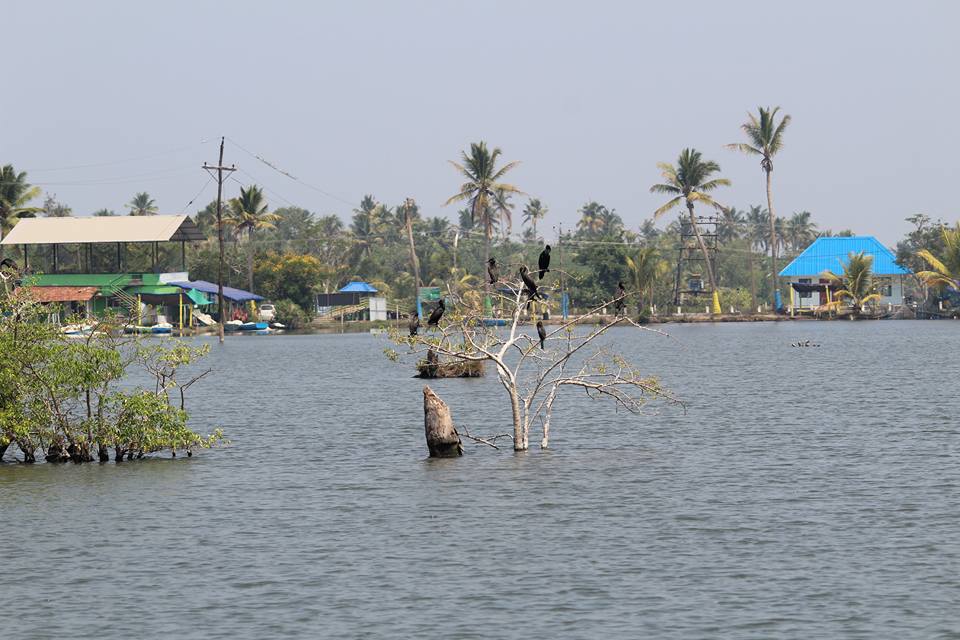 aqua tourism narakkal