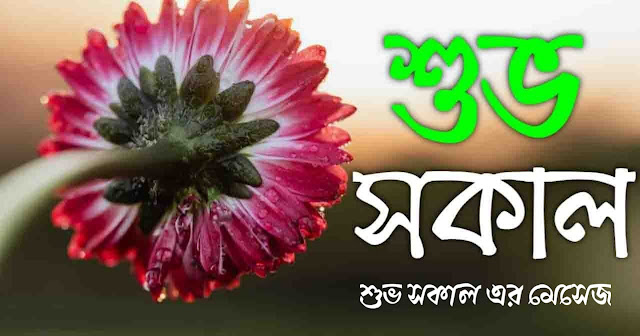 Bengali Good Morning