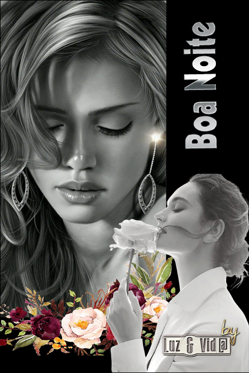 NOVO70-%2528MB%2529maryluz.gif