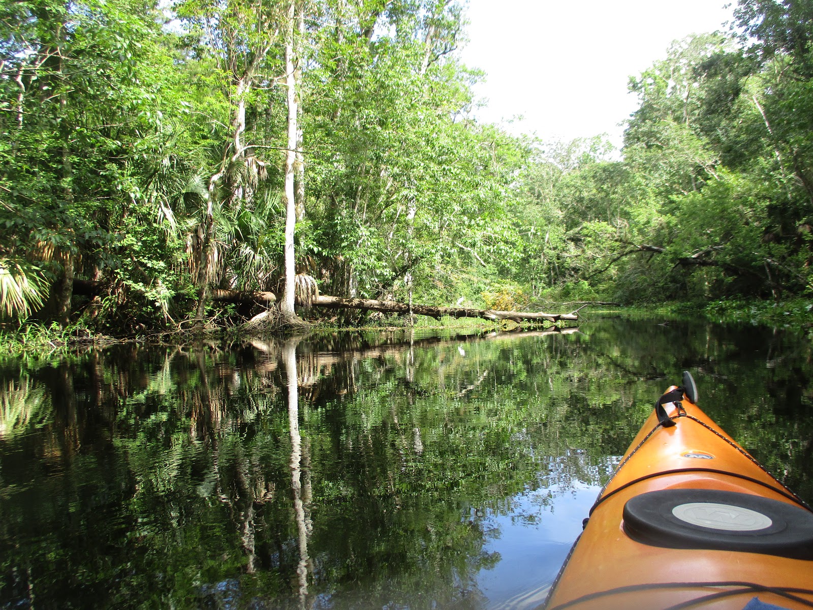Little Wekiva River Map