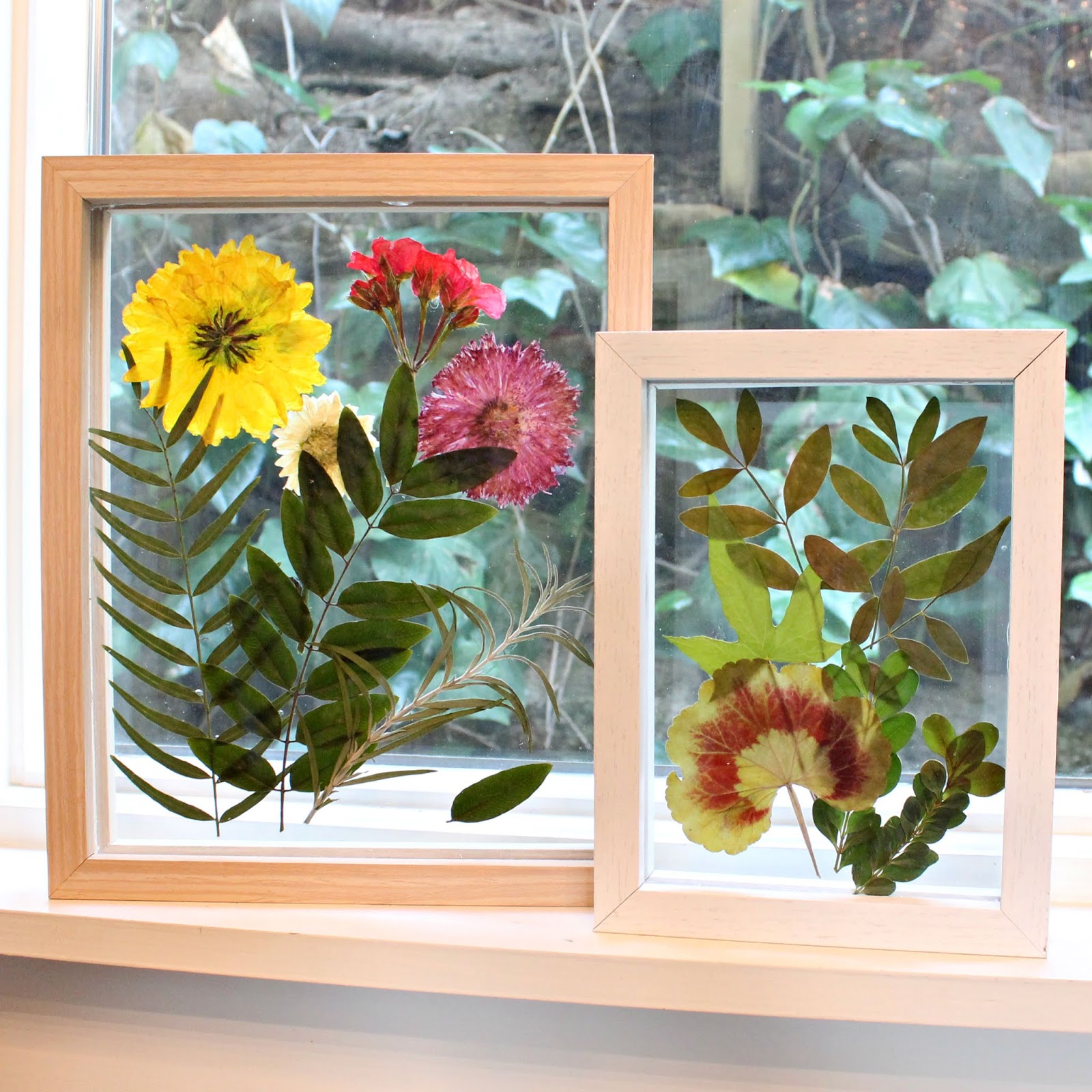 Mark Montano Pressed Flower Boxes DIY