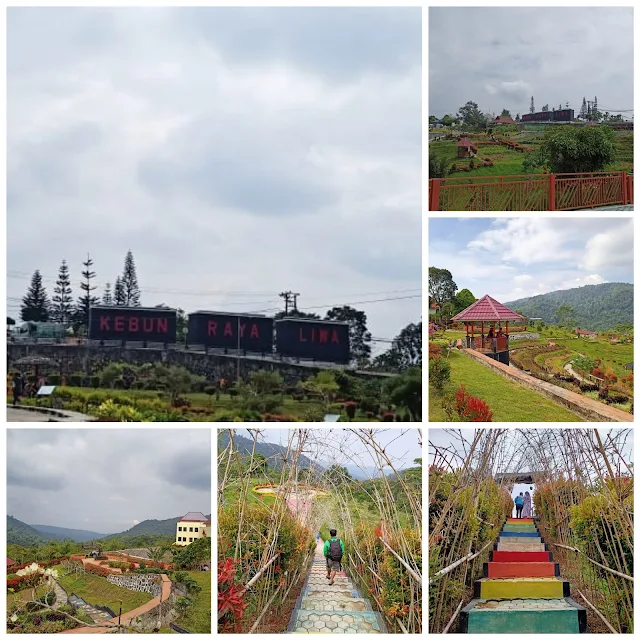 Kebun Raya Liwa