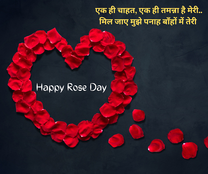Happy Rose Day Wishes, Images, Rose Day Shayari in Hindi