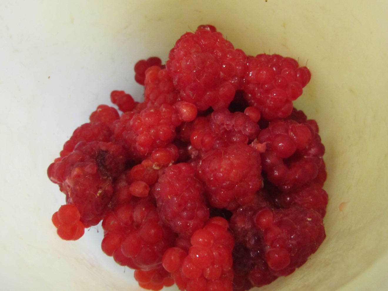 How Much Does A Flat Of Raspberries Weigh Raspberry