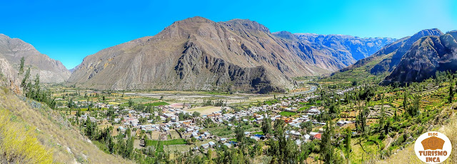 Alca Cañón de Cotahuasi