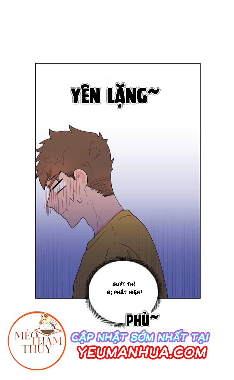 Vụ Tai Tiếng Trái Chuối SS1 Chapter 8 - Trang 8