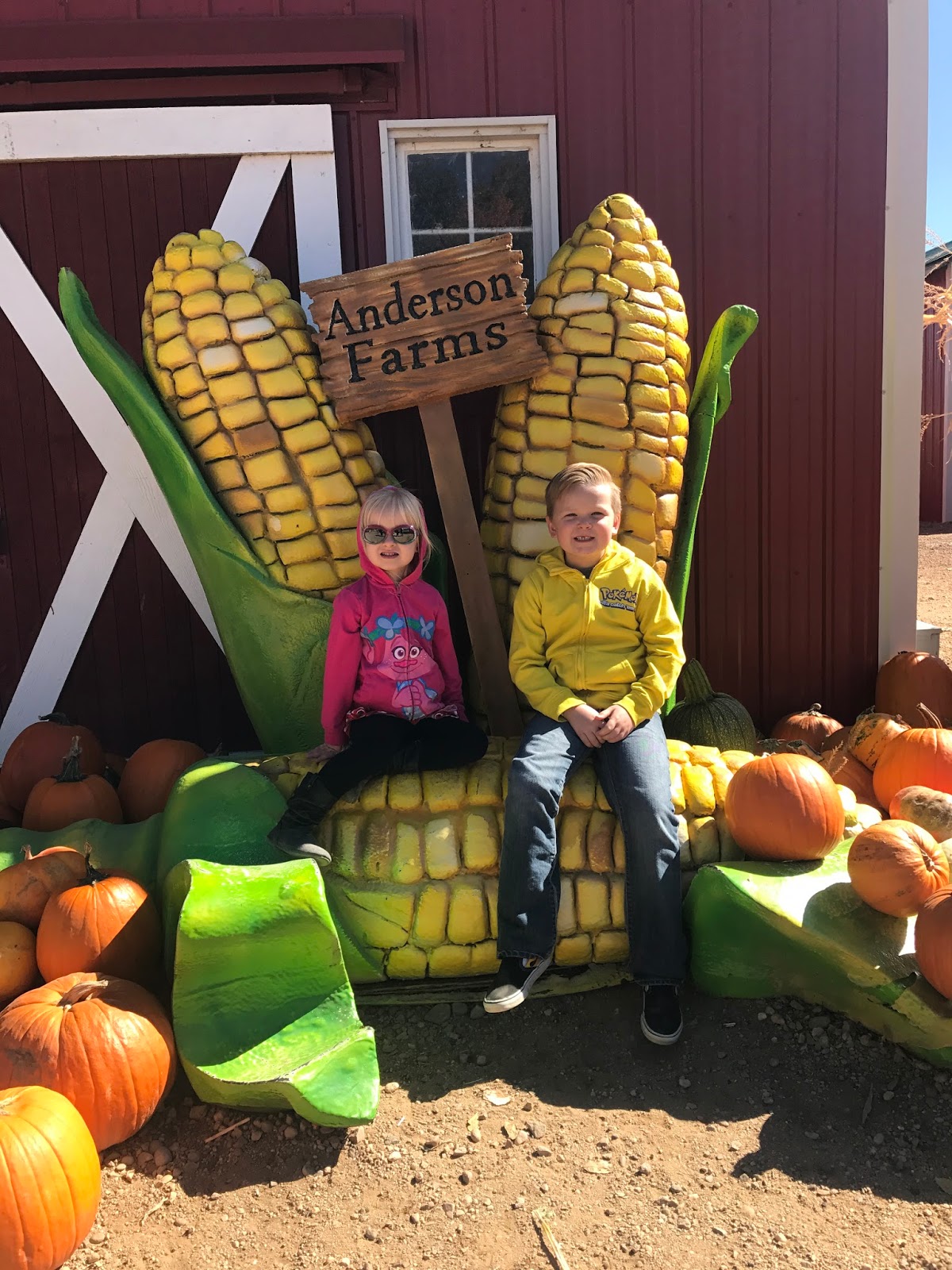 Happy Halloween Anderson Farms Colorado Building Our Story