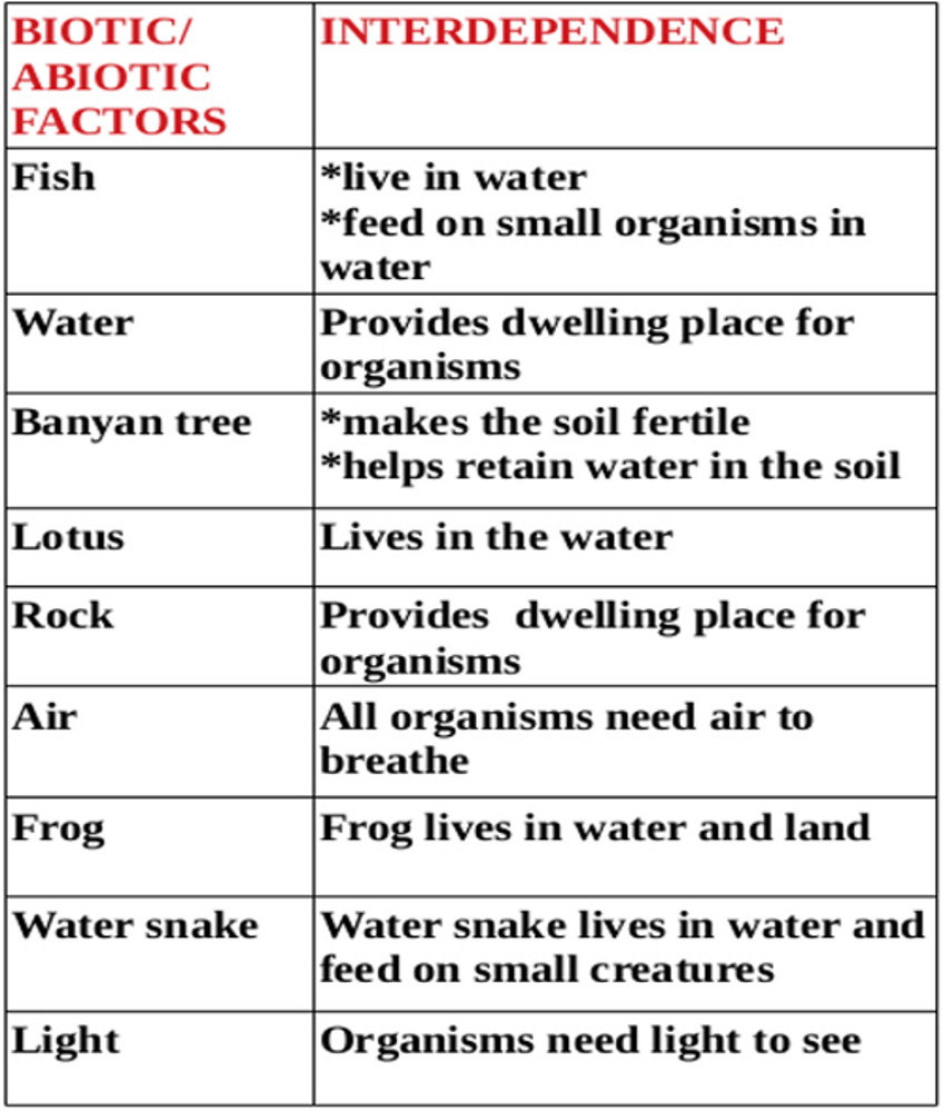 FIELDS AND FORESTS,Class4, EVS