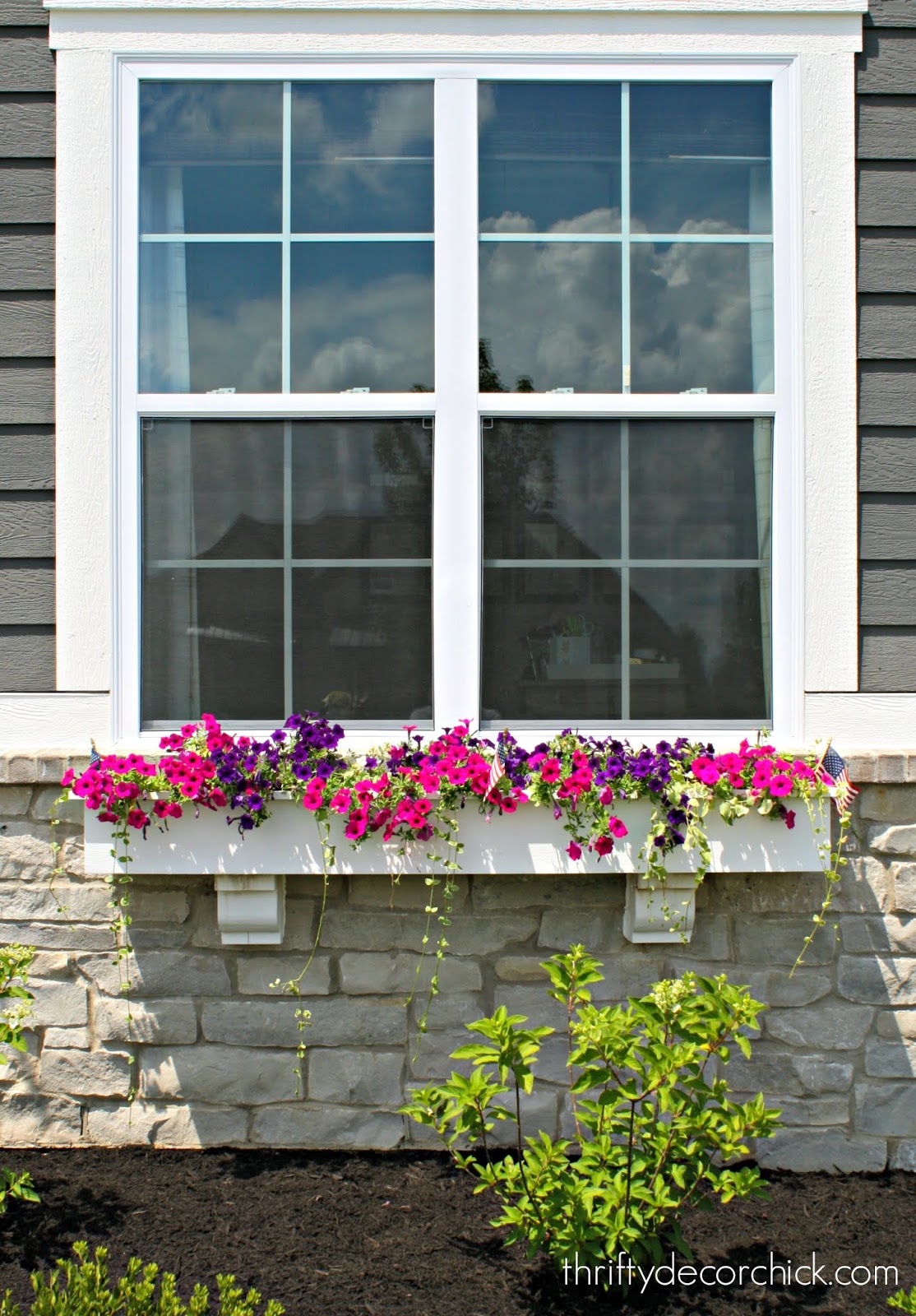 White windows boxes with pink and purple flowers