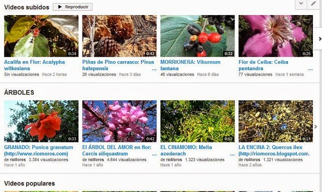 Vídeos de plantas de rioMoros