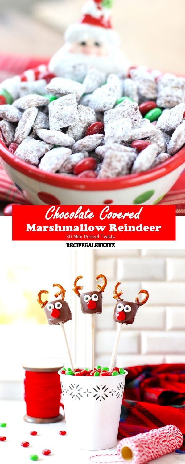 Chocolate Covered Marshmallow Reindeer Palace Food Recipes