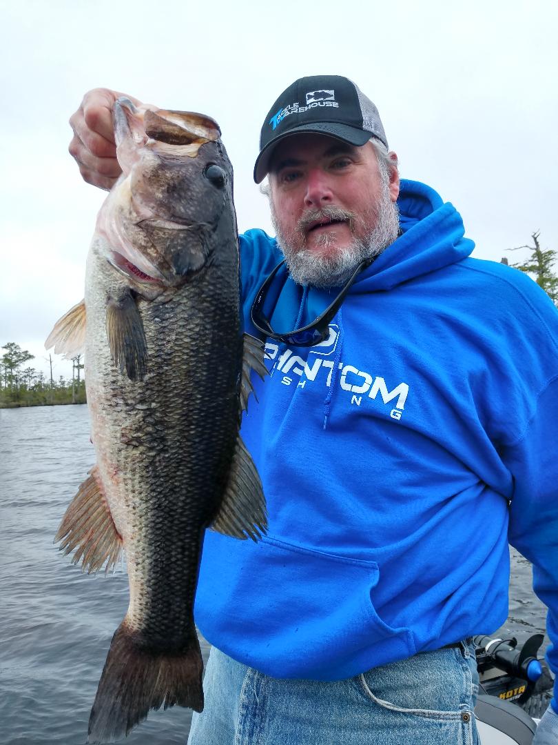 Backwateradventures Outer Banks Bass Fishing