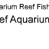 Reef Aquarium - Aquarium Reef Fish