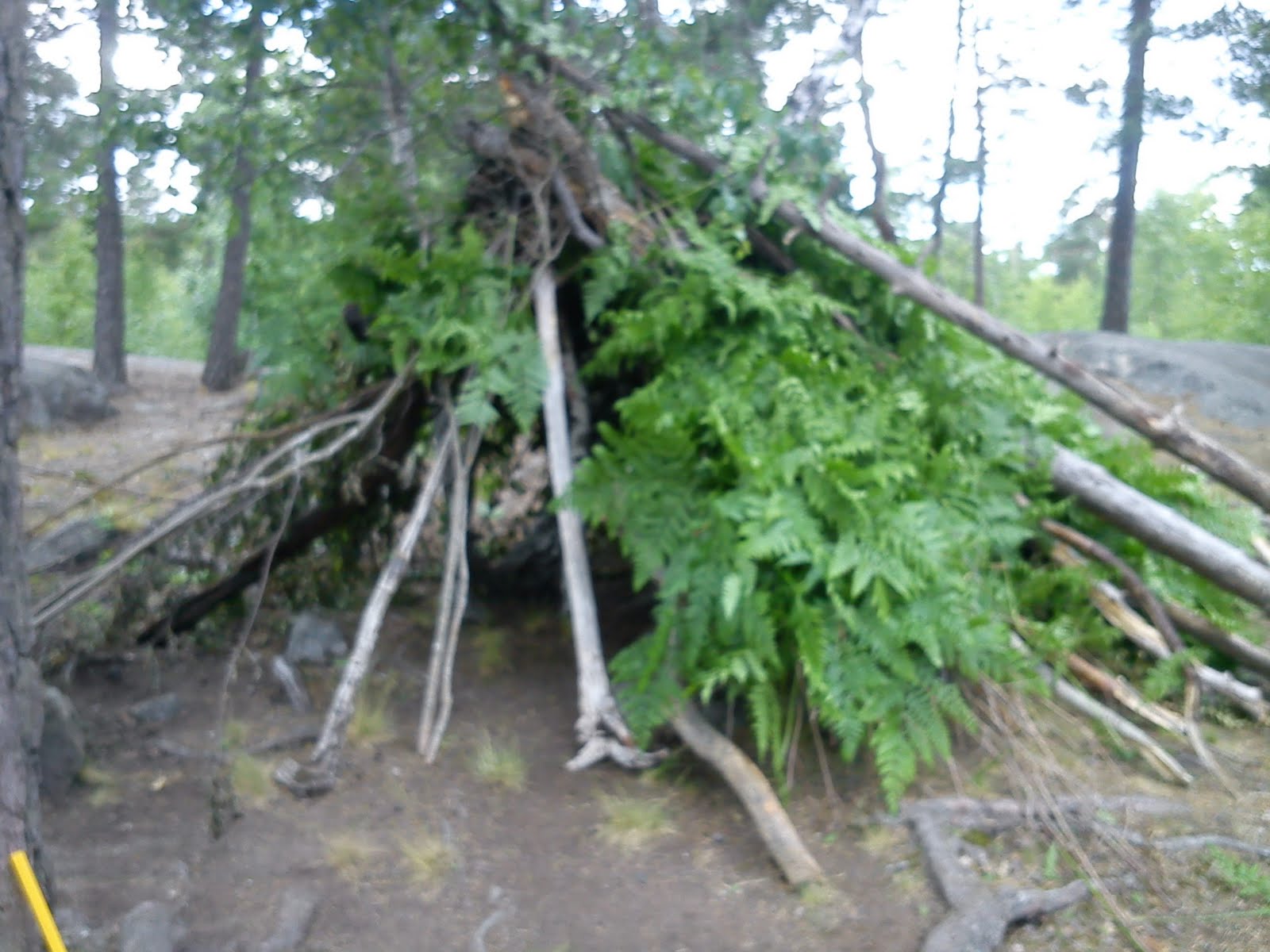Bergfotens fritids Kojan