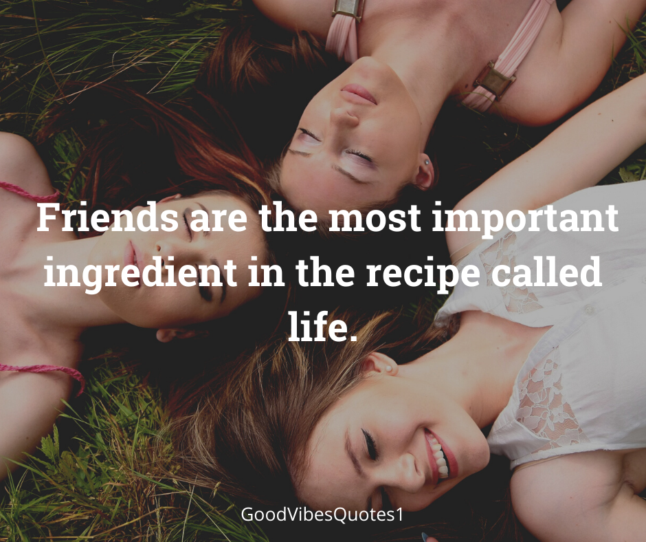 25+ Best Friendship Status For Whatsapp, Friendship Quotes In English