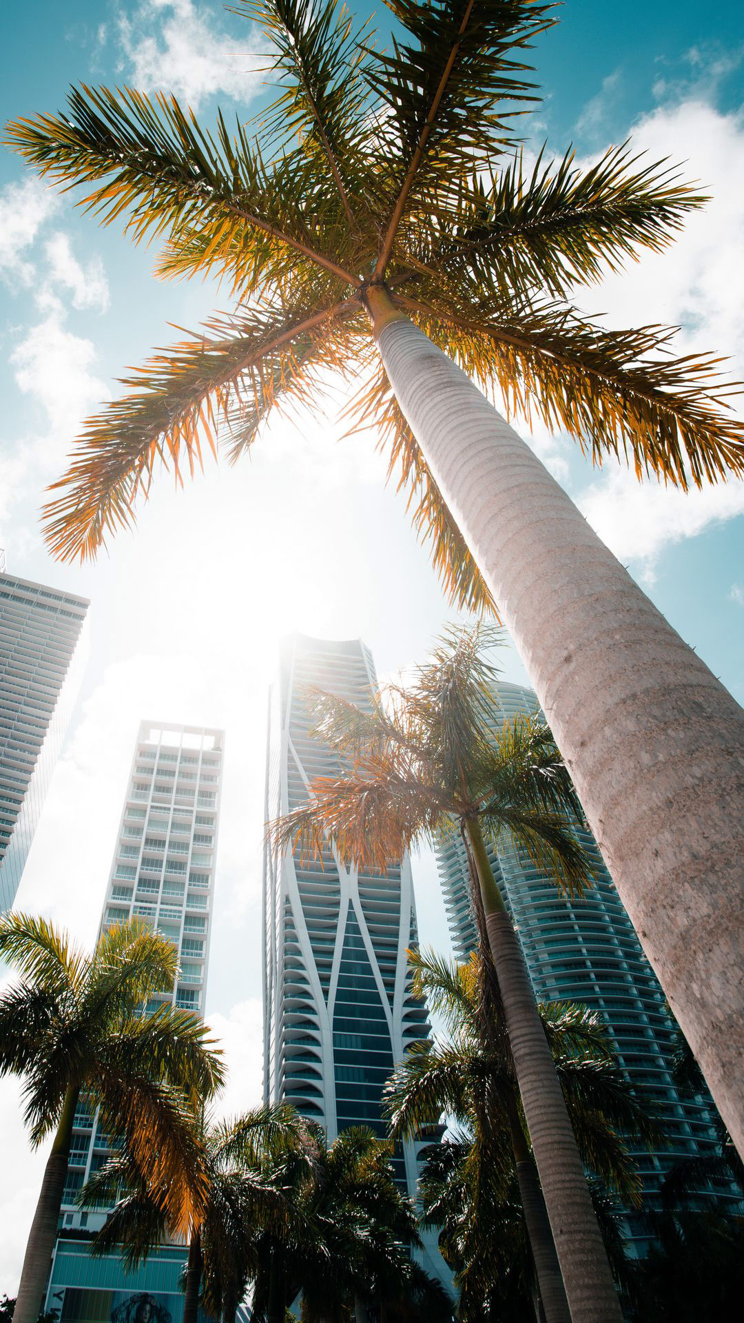 Wallpaper Palm Trees, City, Buildings, Skyscraper