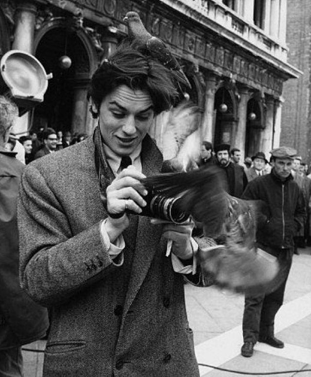 Candid Photographs of Alain Delon Encountered Some Pigeons in Piazza ...