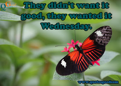 85 Wednesday Inspirational Quotes