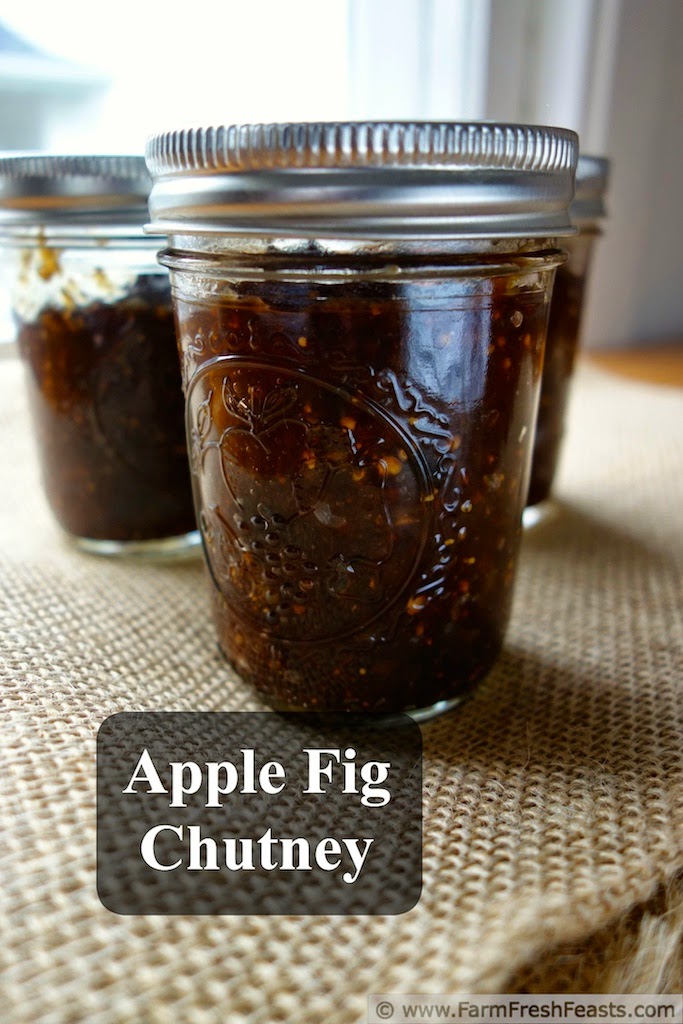 Apple Fig Chutney