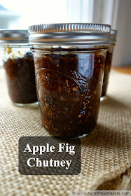 Apple fig chutney is a tangy condiment made from fresh apples, fresh figs, and savory spices. This cooks easily on the stove and can be water bath processed for shelf stability.