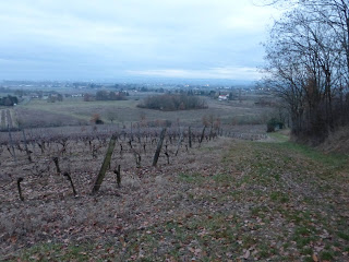 Randonnée Tarn Albi Bea rando Decouverte Randonnée Tarn Gaillac