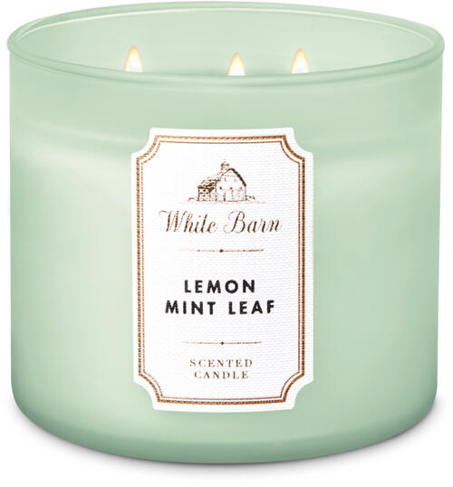 Life Inside the Page Bath & Body Works White Barn Refresh Candle