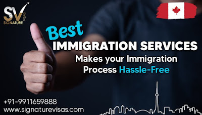 Best Immigration Consultant Services