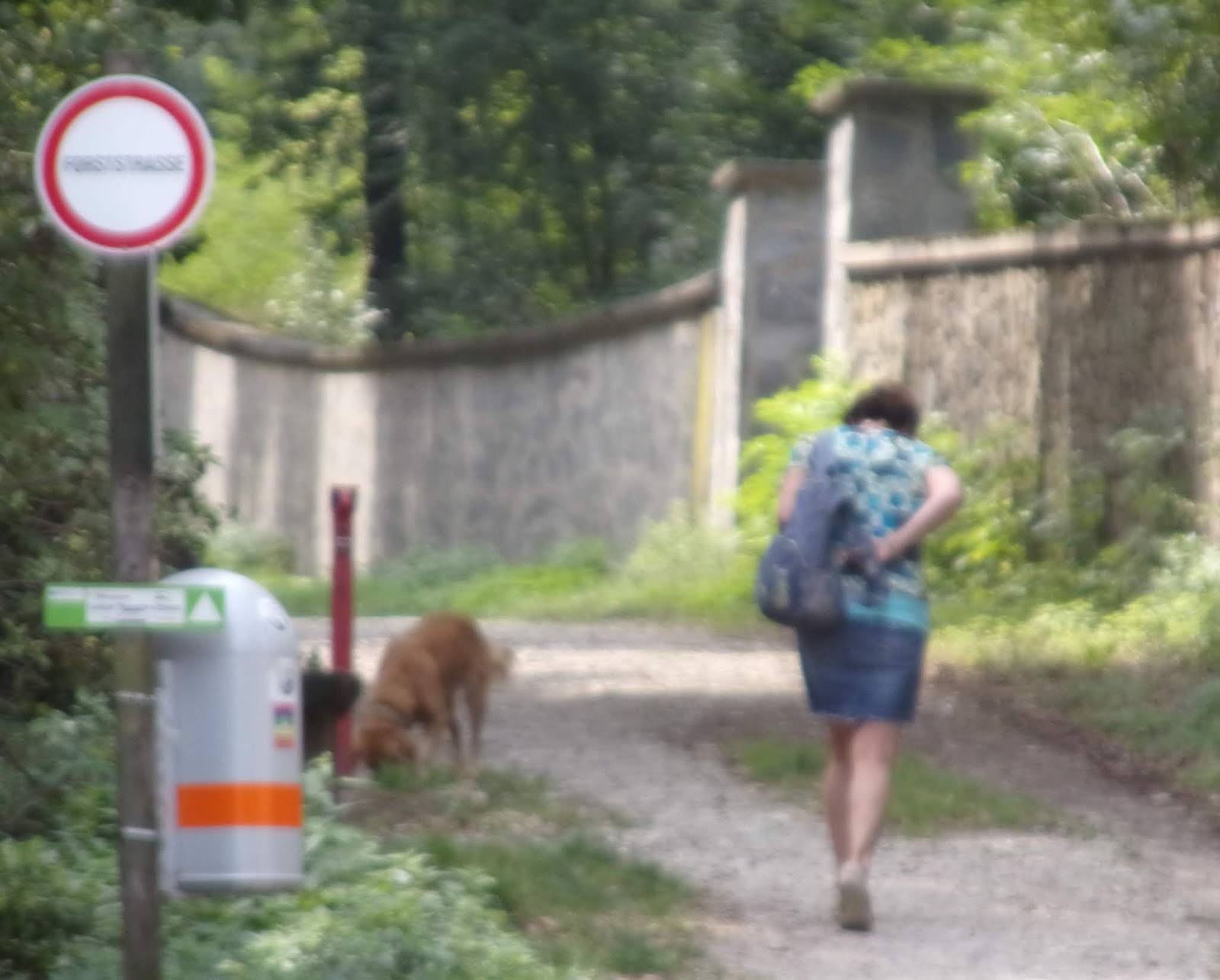 Das Unerklärliche paranormale Phänomene Heute war ich im Maurerwald