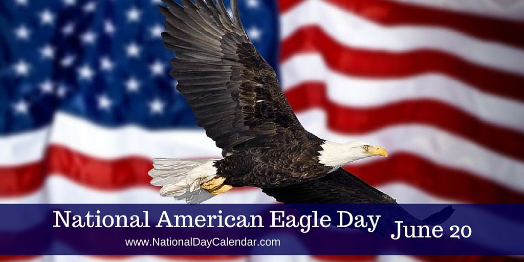NATIONAL AMERICAN EAGLE DAY