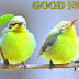 Top 10 Good Noon Images, Greetings, Pictures for whatsapp-bestwishespics