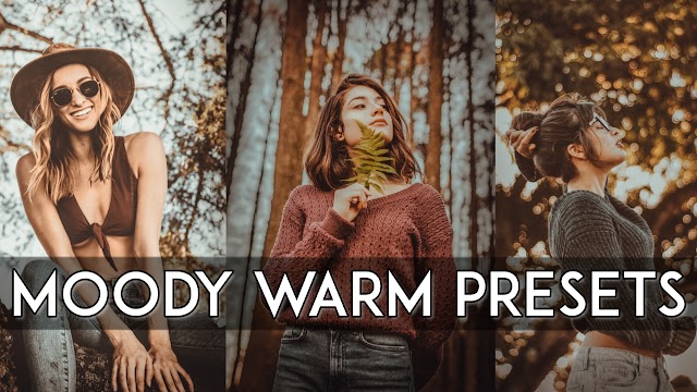 Moody Warm Preset Download Free For Lightroom Mobial