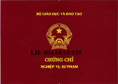 Đào tạo nghiệp vụ sư phạm cấp tốc tại HCM, Nha Trang, Đà Lạt Sp00