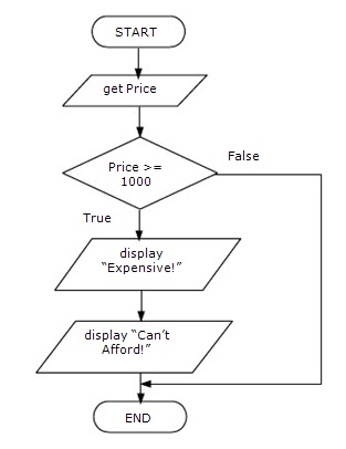 Chapter 4: Conditional Statements: Conditional Statements