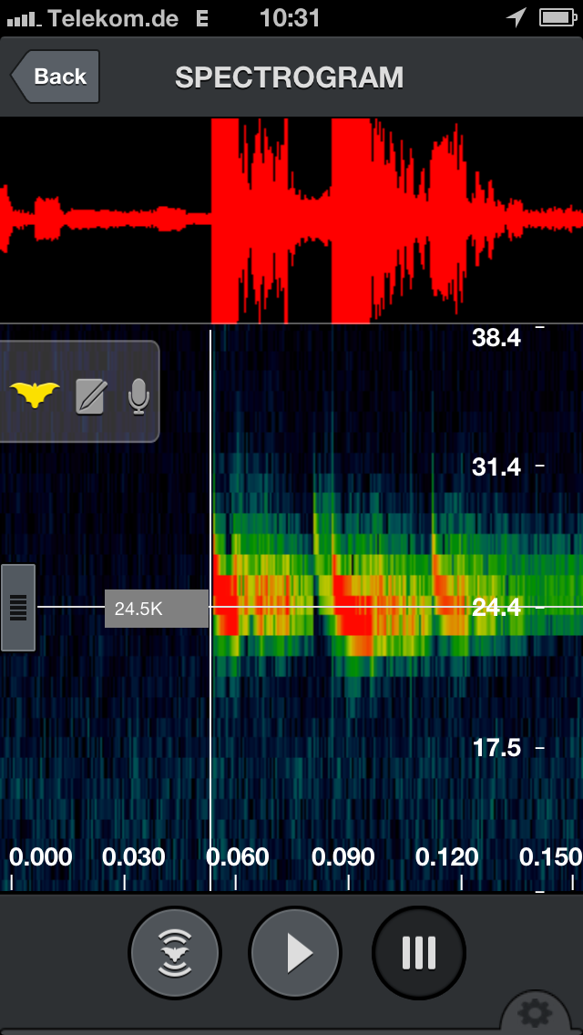 Birds & Bats: Which bat species do these spectrograms belong to?