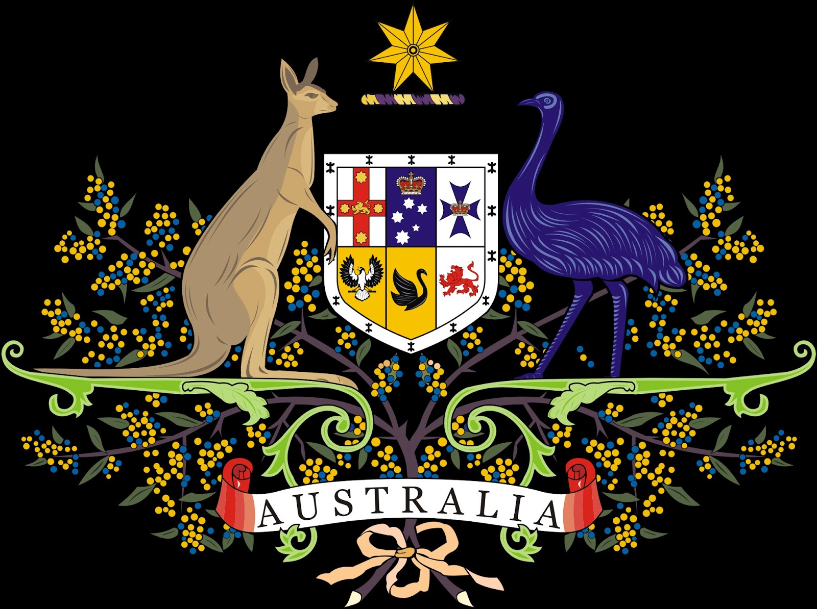 Какой символ австралии. Флаг Австралии и герб Австралии. Кенгуру символ Австралии. Кенгуру на гербе Австралии. Флаг Австралии с кенгуру.
