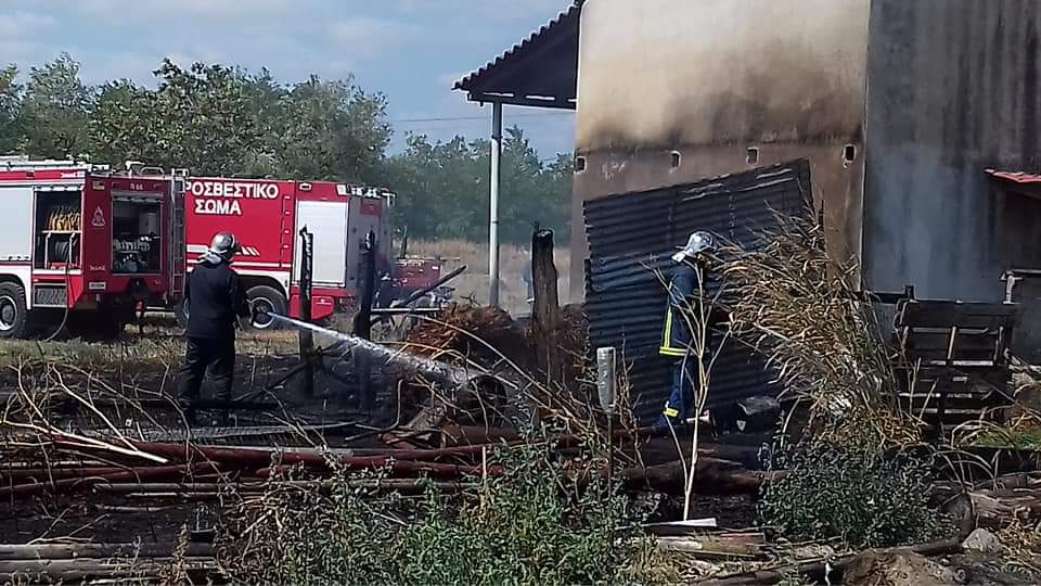 Ξάνθη: Φωτιά σε αγρόκτημα δίπλα σε κτηνοτροφική μονάδα στον Πολύσιτο - ΦΩΤΟ