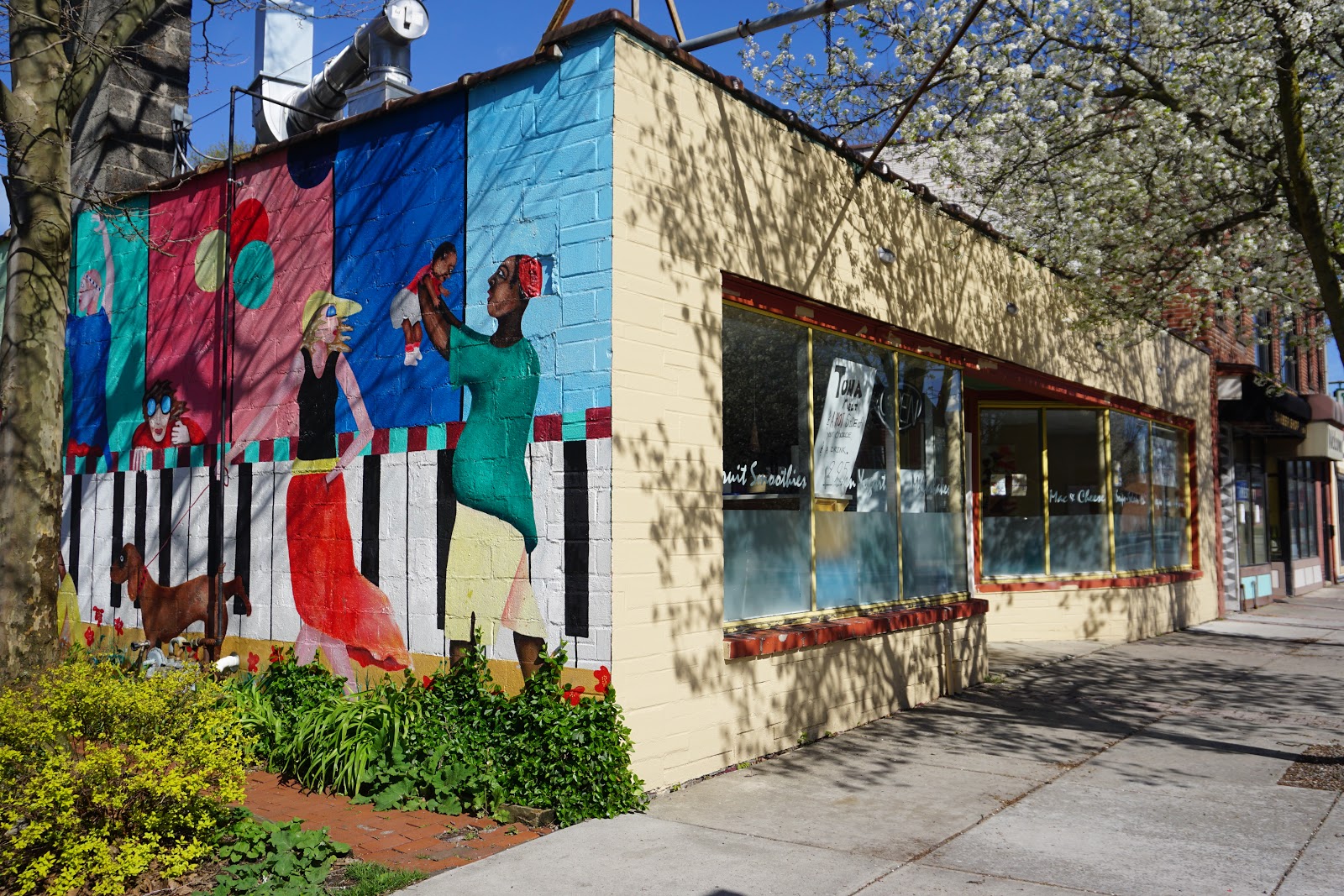 My Central New York All's Quiet on Westcott Street and a History of