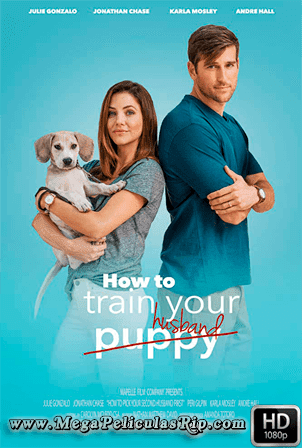 How To Train Your Husband 1080p Latino