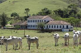 PAGINA I -  FAZENDA DO GUARANÁ