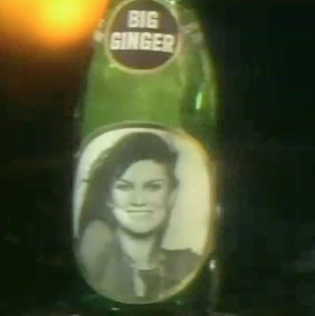 Brady's Bunch of Lorain County Nostalgia Baby New Year & Cotton Club